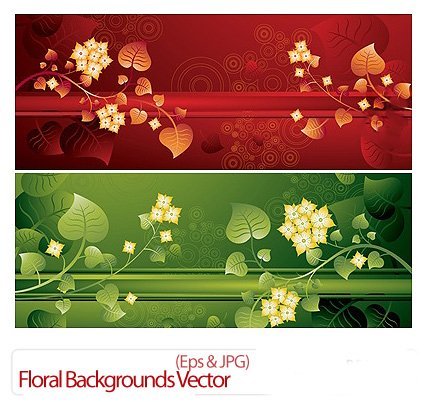 Floral Backgrounds Vector