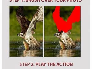 photo.effect.ps.action