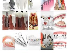 Stomatology Objects Collection
