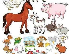 Various Farm Animals