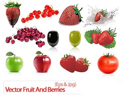Vector Fruit And Berries
