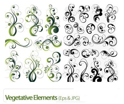 Vegetative Elements