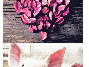 Watercolor Effect Photoshop Actions