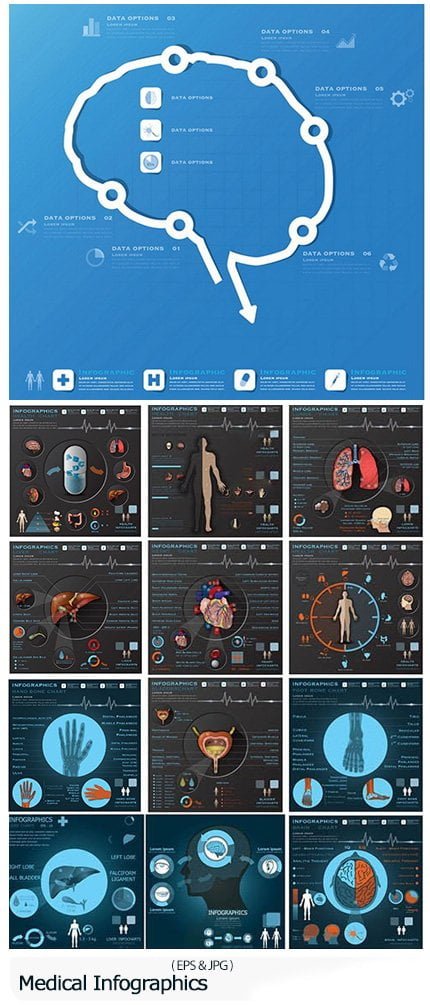 Shutterstock Medical Infographics
