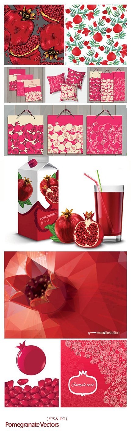 Shutterstock Pomegranate Vectors