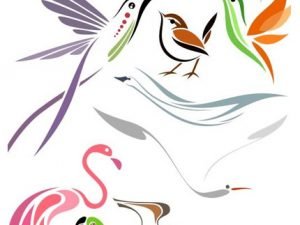 Shutterstock Stylized Birds