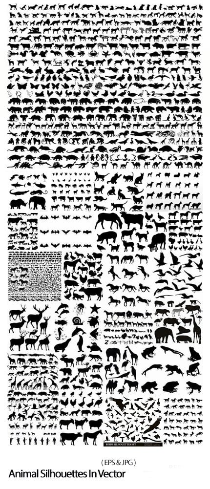 Animal Silhouettes In Vector From Stock