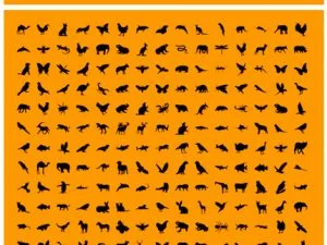 CM 870 Animals And Birds Silhouette