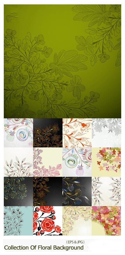 Collection Of Vector Floral Background
