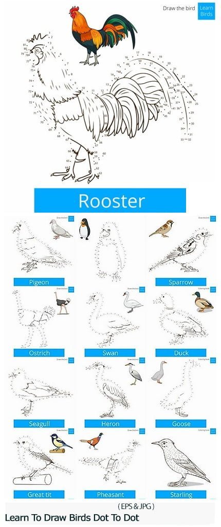 Learn To Draw Birds Dot To Dot