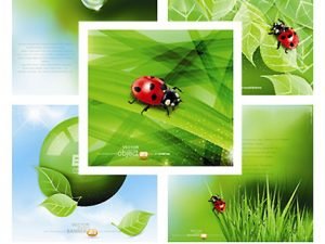 Leaves And Ladybug Vector Backgrounds