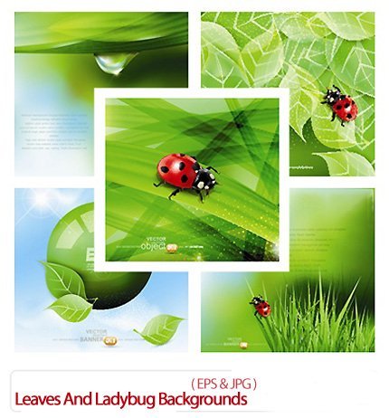 Leaves And Ladybug Vector Backgrounds