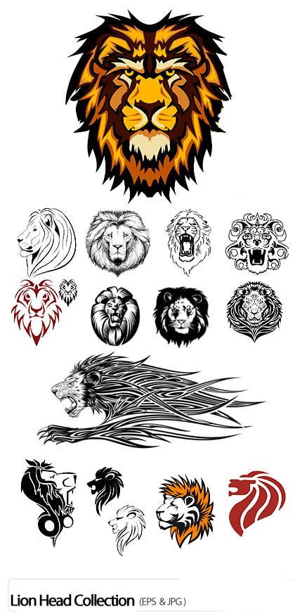 Lion Head Collection