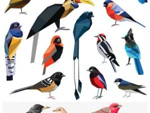 Vectors Different Birds Mix