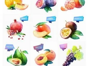 Watercolor Vegetables And Fruit Vector Art 02