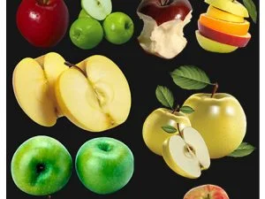 Clipart Apples