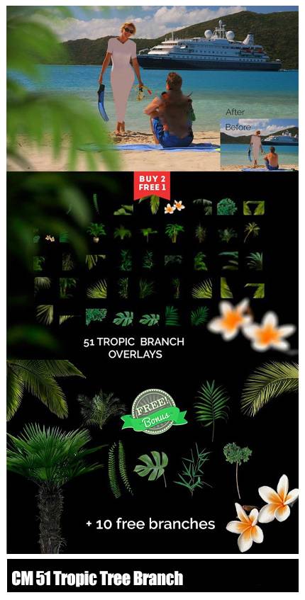 CM 51 Tropic Tree Branch Photo Overlays