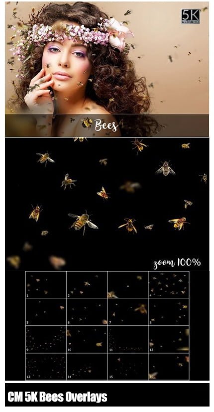 CM 5K Bees Overlays