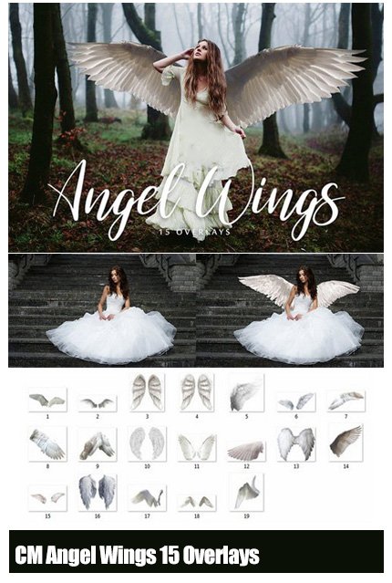 CM Angel Wings 15 Overlays