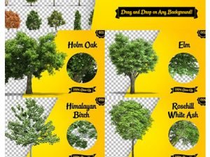 CreativeMarket Fully Isolated Trees Bundle