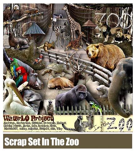 Scrap Set In The Zoo