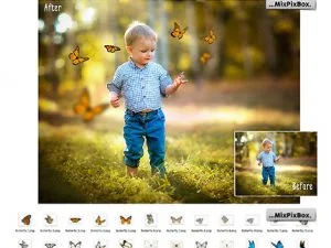 Butterflies Photo Overlays