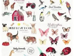 CM Watercolor Clip Art Animals