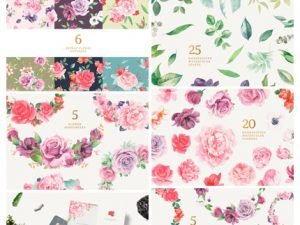 CM Watercolor Floral Collection