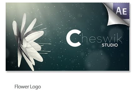 Flower logo Videohive
