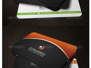 GraphicRiver Professional BusinessCard