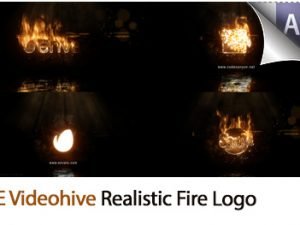 Realistic Fire Logo