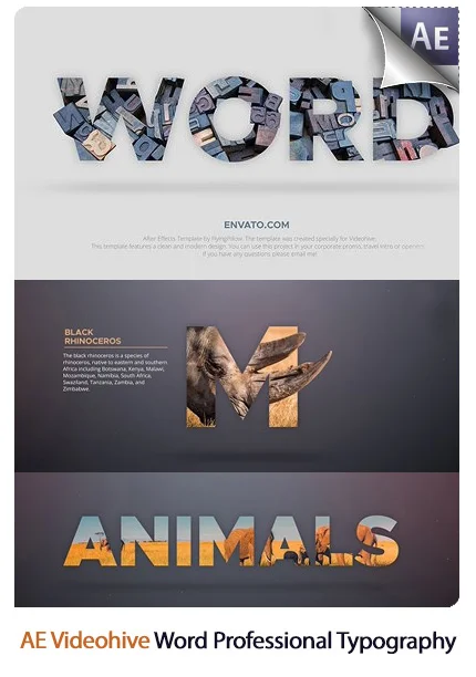 Word Professional Typography Toolkit After Effects Templates