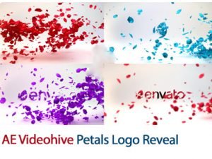 petals logo reveal after effects template
