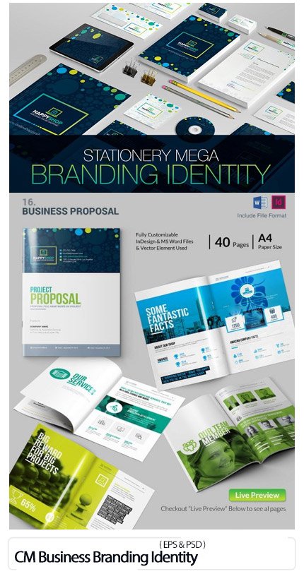 CreativeMarket Business Mega Branding Identity