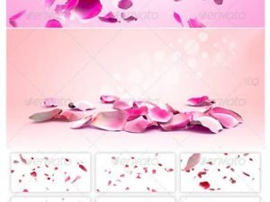 Graphicriver Rose Petals Background Construction kit