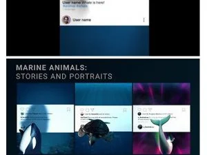 MotionArray Animals Stories And Instagram Fun Social Media Post