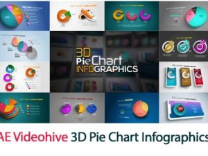 3D Pie Chart Infographics