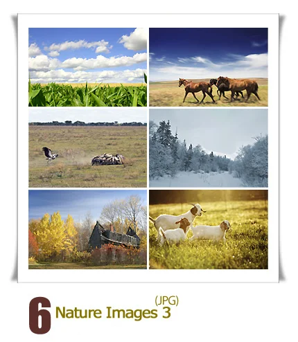 Nature Images 03