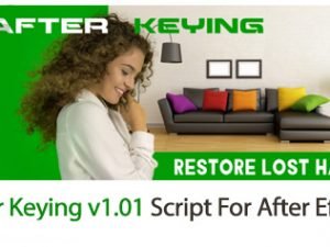 After Keying v1.02 Script For After Effect
