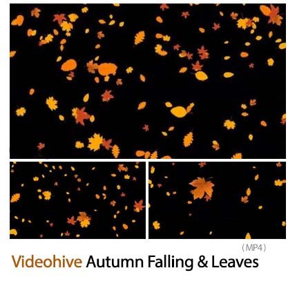 Autumn Falling And Leaves Overlays