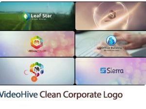 Clean Corporate Logo