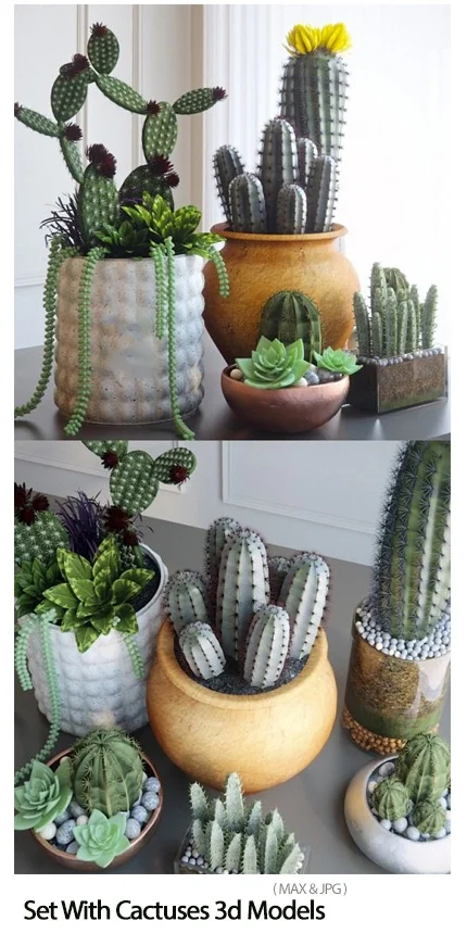Set With Cactuses 3d Models