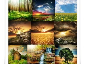 Shutterstock Amazing Nature