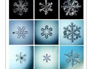 Snowflakes And Ice Crystals