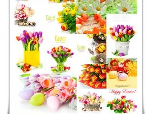 Spring Flowers And Easter Postcard