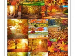 Stock Photos Autumn scenery