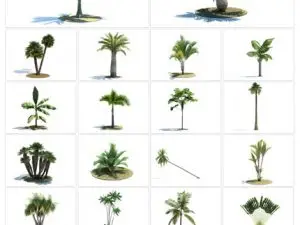 Archmodels Vol 85. 50 Professional Models Of Tropical Trees