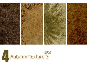 Autumn Texture 03
