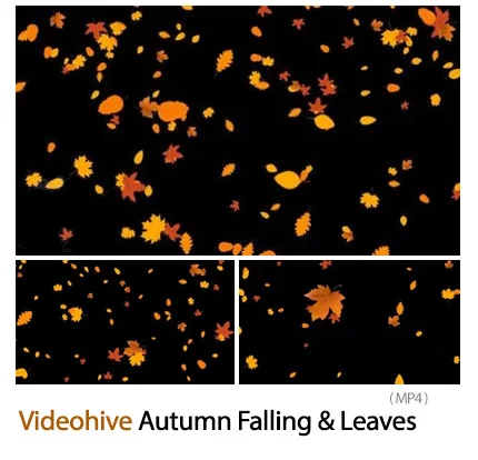 Autumn Falling And Leaves Overlays