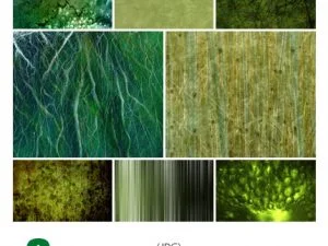 Green Textures 01